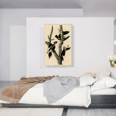 Pic ivoire à bec par James Audubon, reproduction d'art sur toile tendue