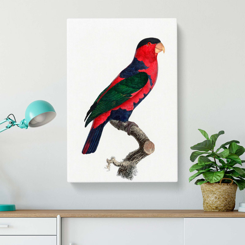 A Black-Capped Lory by F. Levaillant - Wrapped Canvas, 60cm H x 40cm W x 3cm D