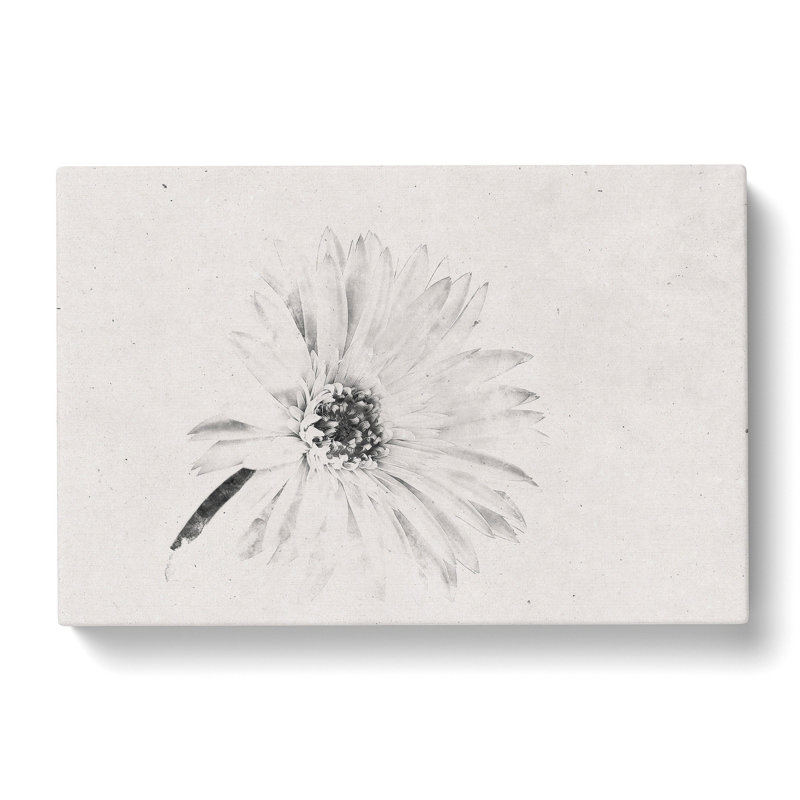 Flower Sketch - Wrapped Canvas Print, 60cm H x 91cm W x 3cm D