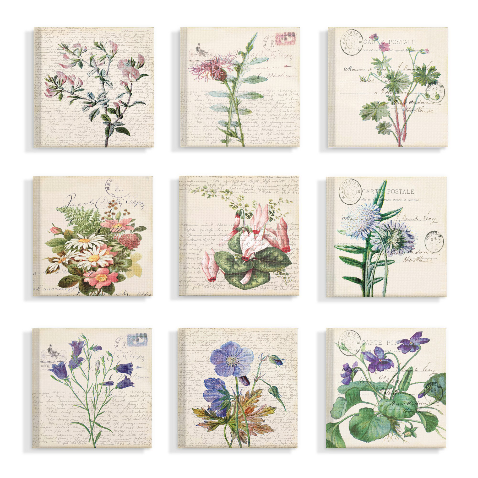 Ophelia & Co. 'Vintage Postcard Script Flower Illustrations' 9 Piece ...