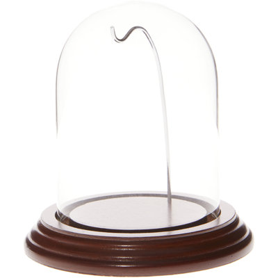 3" x 4" Watch Glass Display Dome Cloche