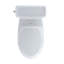 Guinevere® ADA Compliant 1.28 GPF Elongated One-Piece Toilet with SanaGloss Glazing-1695474