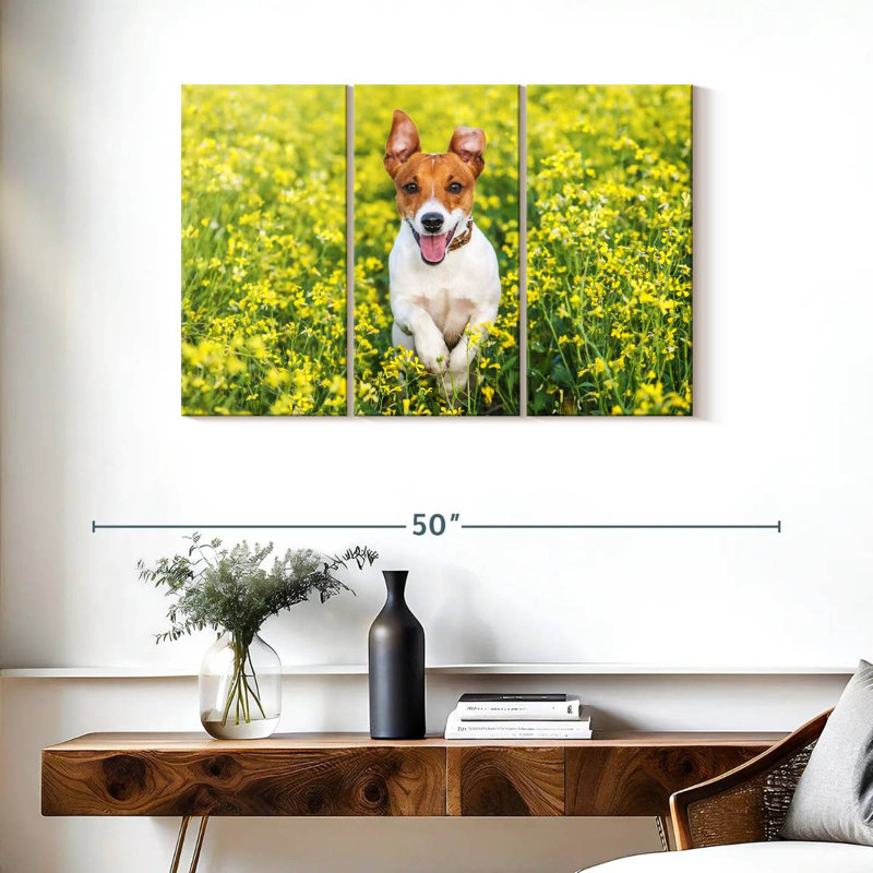 Brampt Happy Jack Russell, H 24 po x l 38 po