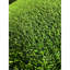 Grand gazon artificiel de 3 pi x 32 pi, tapis professionnel idéal pour la terrasse extérieure, avec remplissage en polypropylène, trous de drainage de 32,8 pi, grande pelouse pour animaux de compagnie
