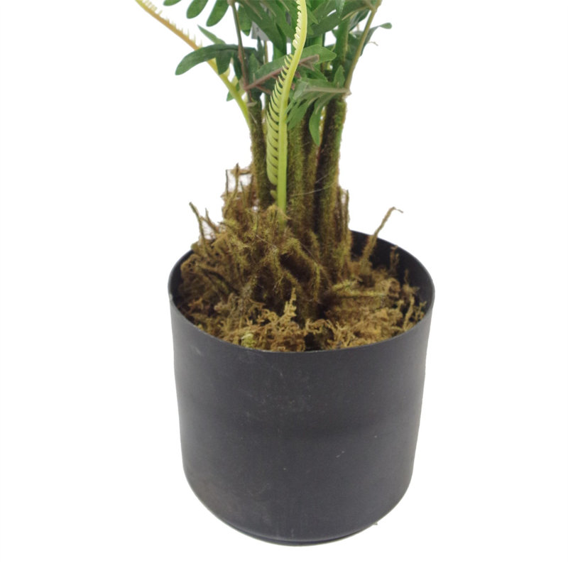 228.6cm Faux Fern Plant in Pot Liner