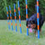 Lord Anson Dog Agility Weave Poles - Ensemble de poteaux de tissage Agility