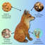 Deslynn Animals Figurines & Sculptures