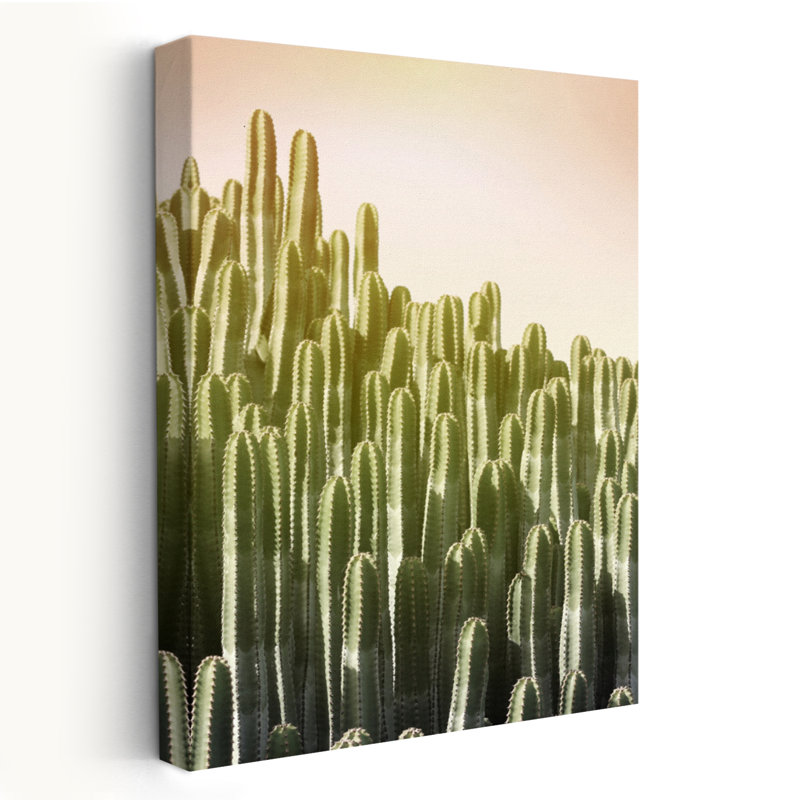Cactus rose ciel - fleurs, photographie de nature morte, plantes de cactus, H 24 po x l 16 po