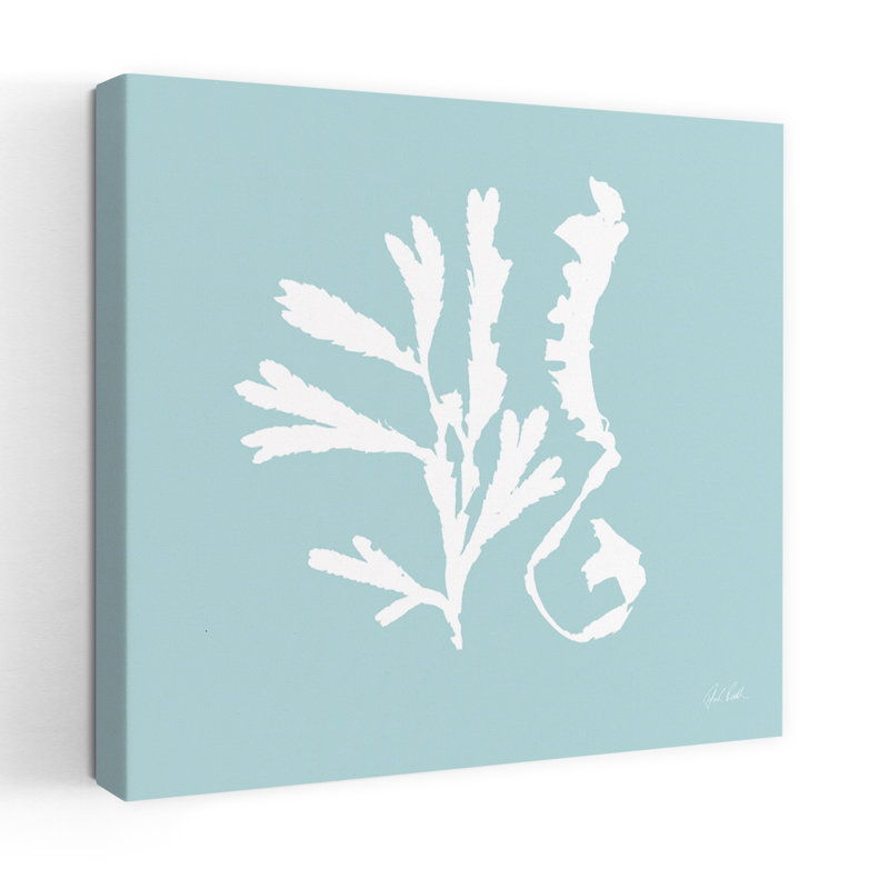 Art côtier Seaweed II, H 18 po x l 18 po