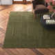 Abisai Handmade Jute / Sisal Green Rug