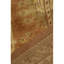 Demirji Wool Oriental Area Rug