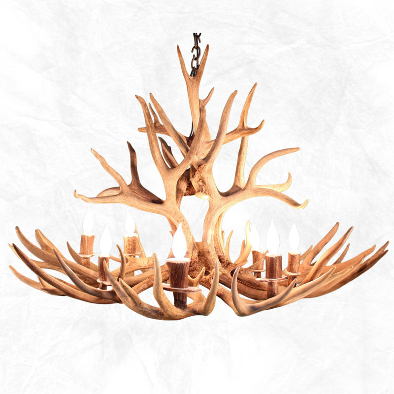 Lustre à roulettes 8 lumières mule/cerf antler, Blanchie au soleil