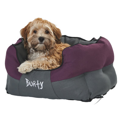 Levesque Polyester Pet Bed