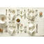 Bol à dessert en porcelaine 10 oz Canvas Home-40061947