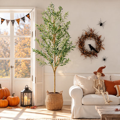 Olivier artificiel de 2,13 m avec tronc en bois naturel, feuilles et olives en soie réalistes, plante en pot avec pot noir pour la décoration intérieure et extérieure (salon, bureau, entrée, terrasse), cadeau idéal pour l'Halloween, Noël et Thanksgiving.