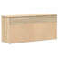 Shoe Bench 102X30.5X45 Cm Engineered Wood-1776626067