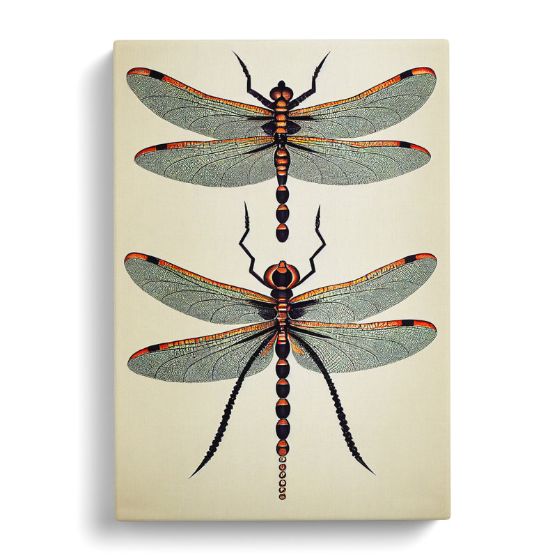 Classic Dragonflies - Print, 50cm H x 35cm W x 3cm D, Wrapped Canvas, No Matte