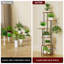 Plant Stand - Set of 8