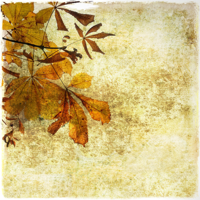 Grunge Background - Wrapped Canvas Print, 122cm H x 122cm W