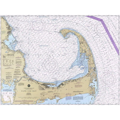 " Cape Cod Bay "