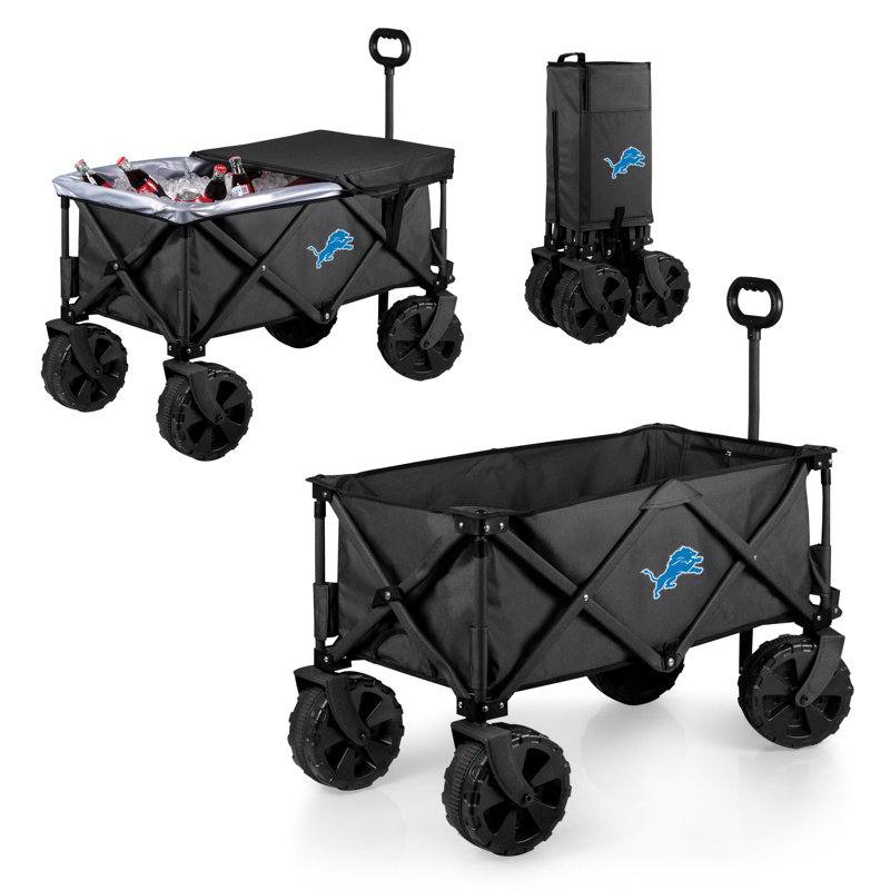 Chariot Adventure, Lions de Detroit