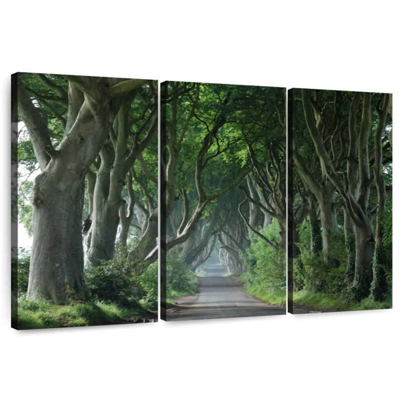 Harnek Dark Hedges, 48" H x 74" W