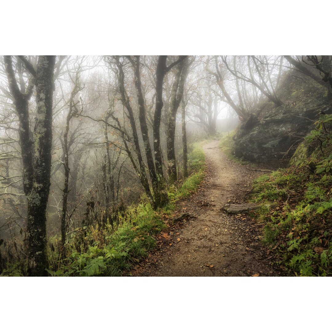 Leinwandbild Narrow Path von Danny Head