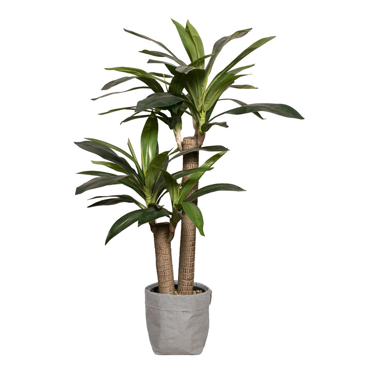 Panama 45'' Faux Dracaena Plant