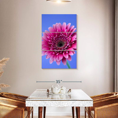 Rose Harnek Gerbera Daisy I