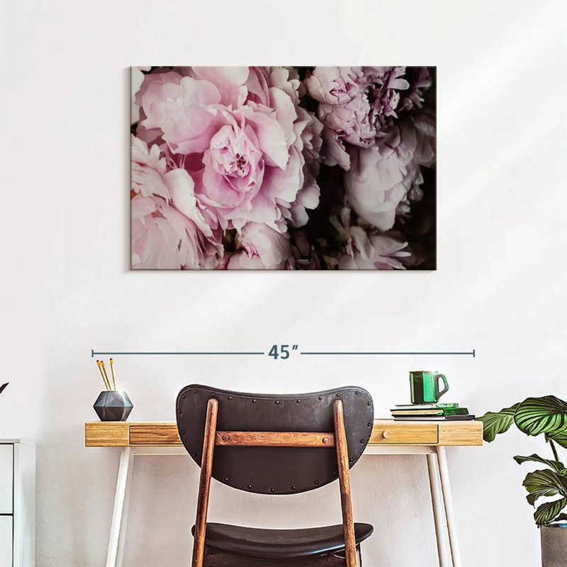 Pivoines Harnek Galore II, H 24 po x l 36 po