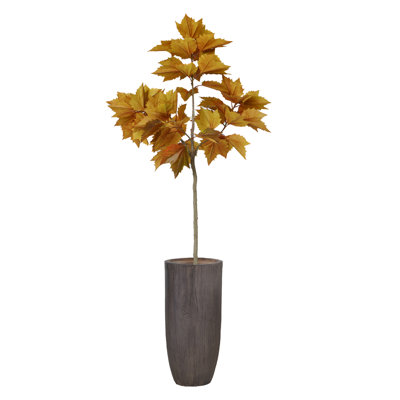 Arbre en érable 83 po H 83 po, véritable intérieur / extérieur, en pot rond (H 30 x 30 x 63 po)