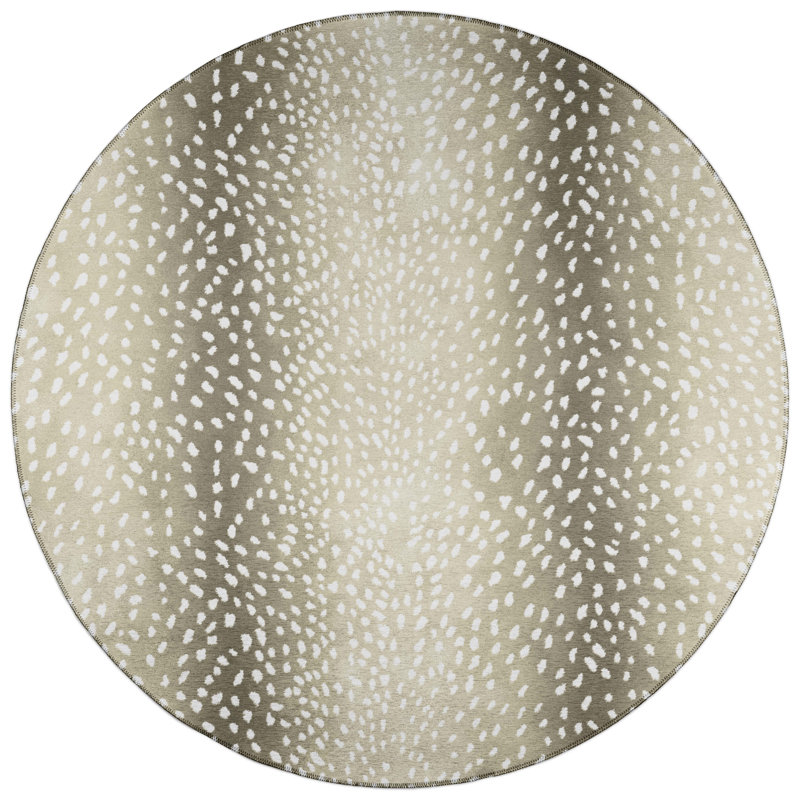 Tapis Edmonds, Rond 8 pi