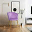 Tisa 43Cm Wide Tub Chair-2110089317