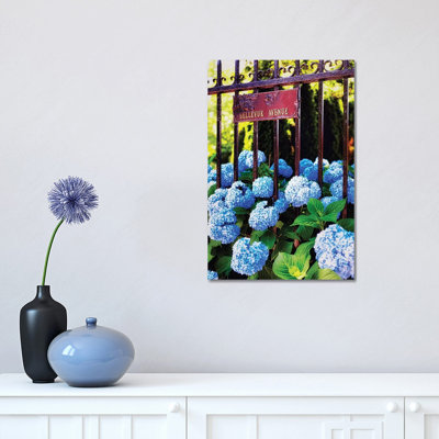 Hydrangea, Bellevue Avenue, Newport, Rhode Island 1 Piece Wrapped Canvas Wall Art