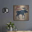 Luxe Moose «Old Moose Trading Co Tan - Dry Goo» «Old Moose Trading Co Tan - Dry Goods» par Ryan Fowler