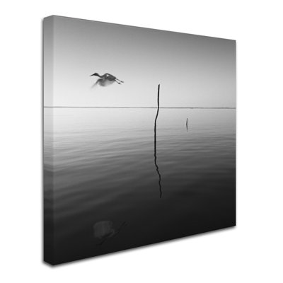 « fly » par moises perception, reproduction de photo sur toile tendue