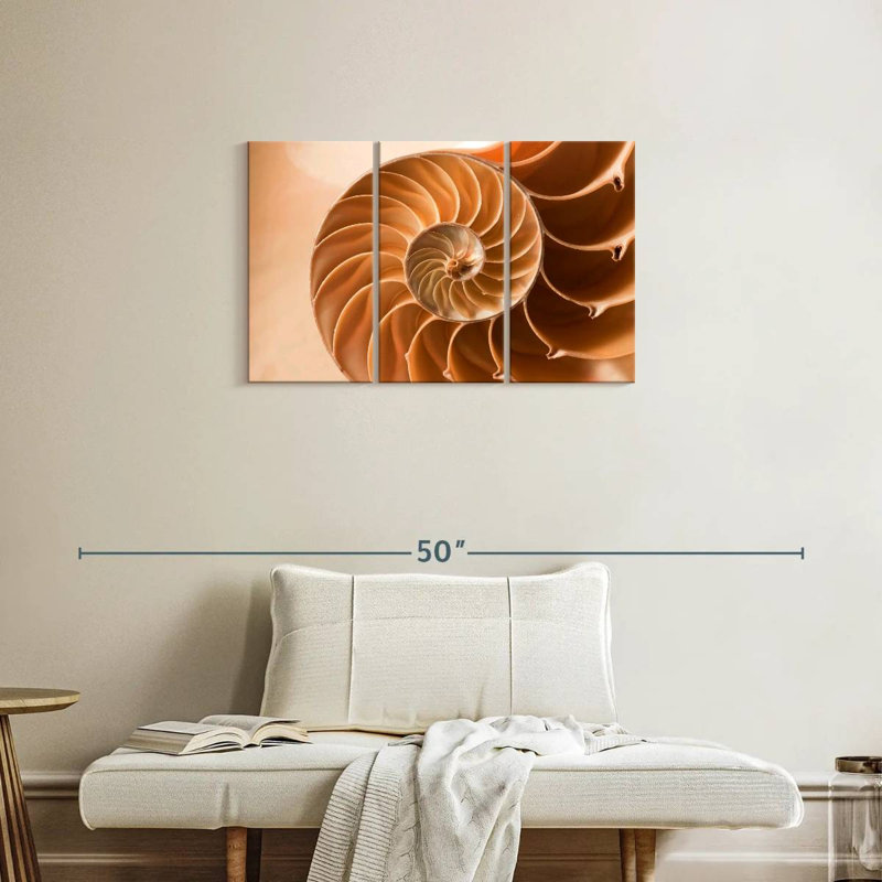 Aletra Nautilus Shell Inside, 20" H x 33" W
