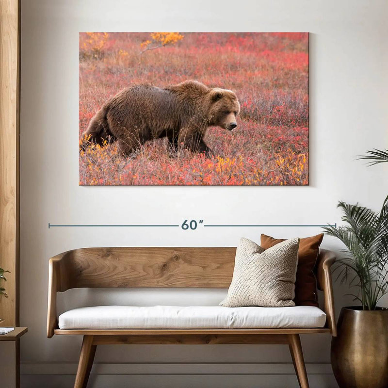 Ours grizzly Brampt, H 32 po x l 48 po