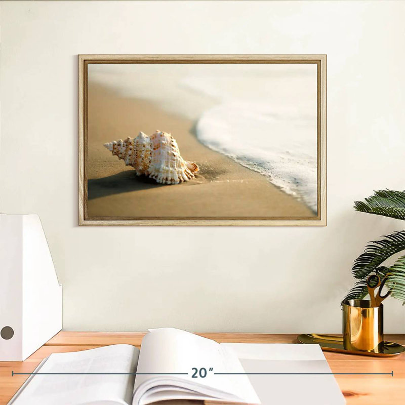 Coquillage sur la plage, Cadre flottant en bois naturel, 13 po x 9 po