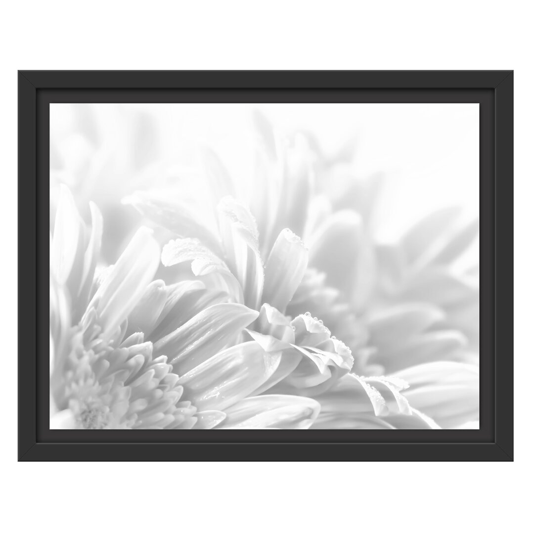 Gerahmtes Wandbild Gerbera-Blume