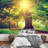 Forest Nature Landscape Peel & Stick Vinyl-88769846