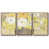 Noyer