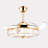 Ceiling Fan with LED Lights