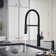 Catris Flexo Semi-Pro Pull-Down Dual-Spray Kitchen Faucet