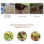 Wood Raised Garden Bed