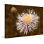 Pandemonium 1 Piece Wrapped Canvas Wall Art-940001475