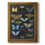 «Graphic Butterfly Taxonomie I», toile encadrée de qualité supérieure - prête à être accrochée-1826118144