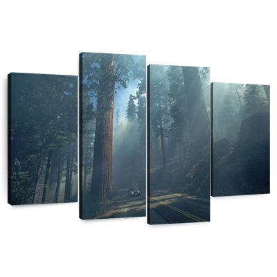 Harnek Sequoia And Kings Canyon Trees