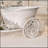 Rustic Bicycle Metal Wire Wall Planter Basket