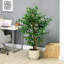 Ficus artificiel avec pot, plante artificielle d'extérieur pour la décoration de salon de bureau à domicile-161677543